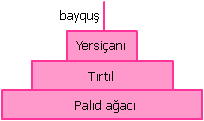 pyramid_of_biomass